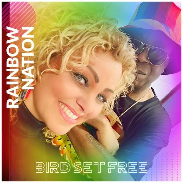 Cover art for Bird Set Free